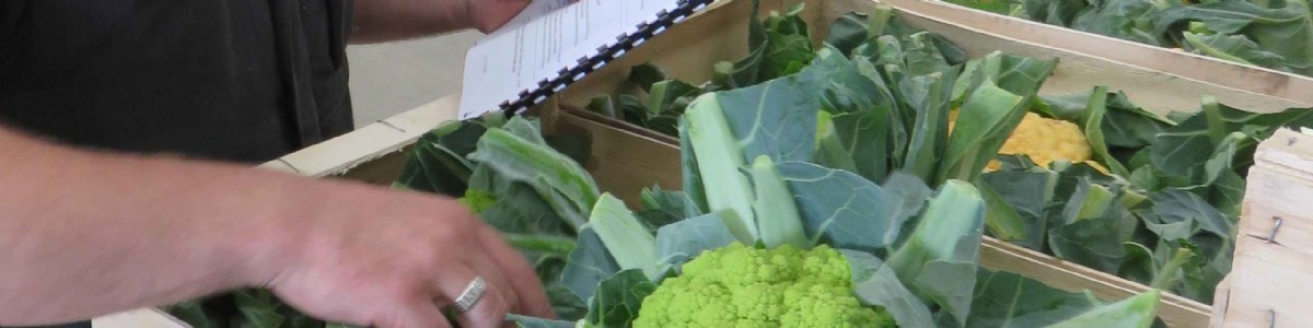 Ingénieur-formateur  - Un expert des fruits et légumes toujours en veille