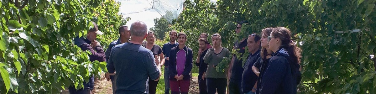 COPERNIC, révolutionner la conduite des vergers de pêche-nectarine et d'abricot 