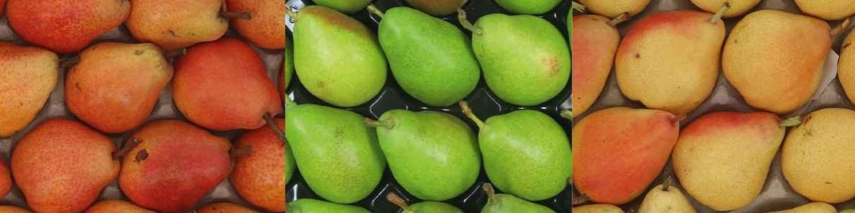 Taste preferences of pear consumers and opportunities to diversify the range 