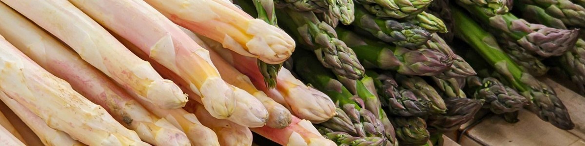 Perception et attente des consommateurs d'asperge 