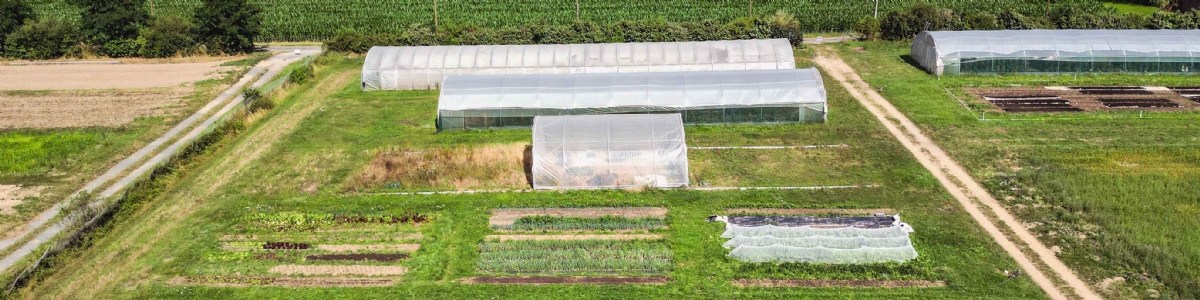 Maraîchage intensif sur petites surfaces, accompagner la réflexion des porteurs de projet 