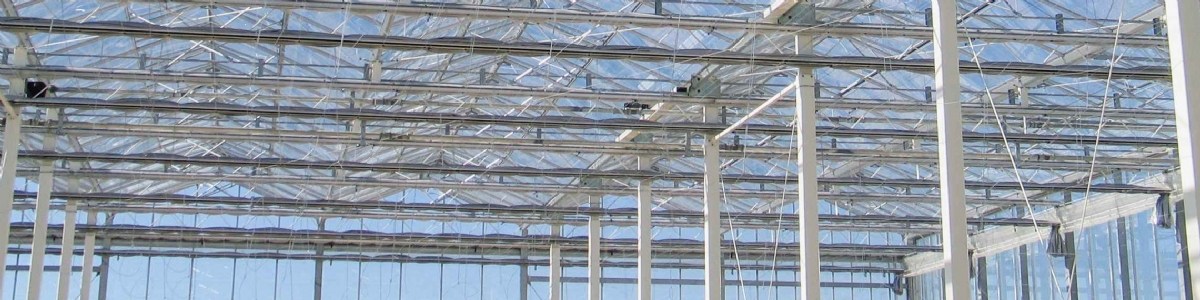 Vers un outil d'aide à la décision pour décarboner les serres en Europe 