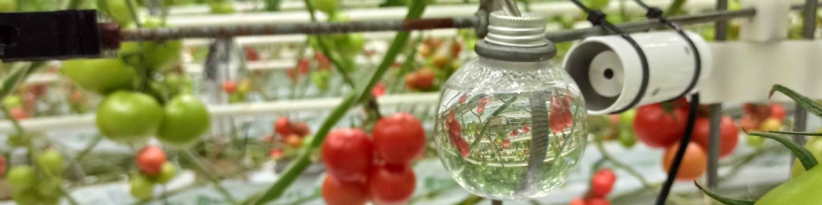 Des capteurs microclimatiques pour caractériser les risques de condensation sur organes 