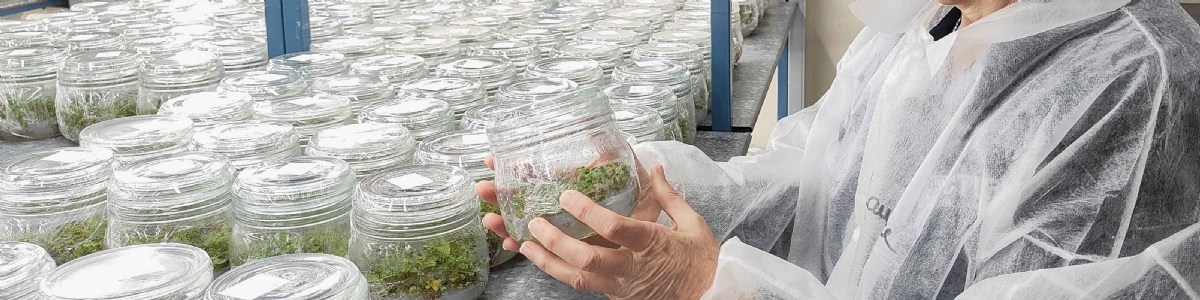 Ceci est un exemple de publication Ceci est un exemple de publication 