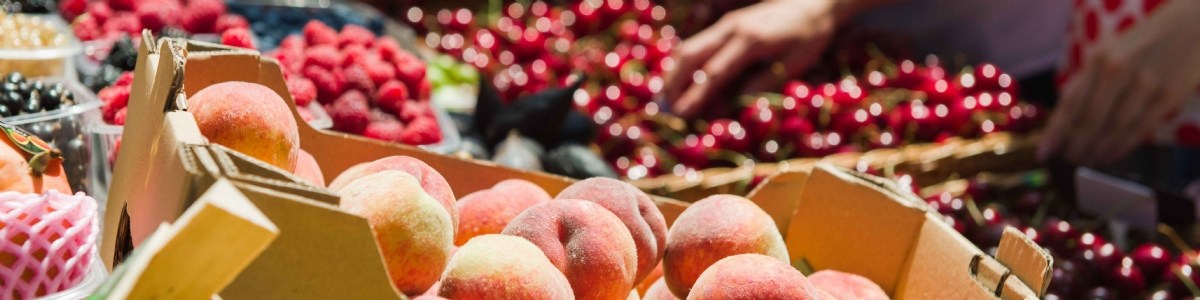 Determinants of demand for fruit and vegetables 