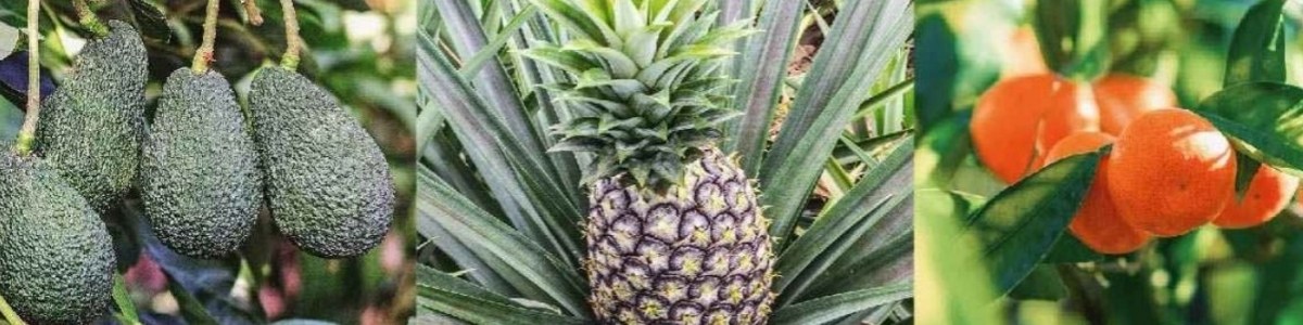 The unexpected opportunities of climate change 