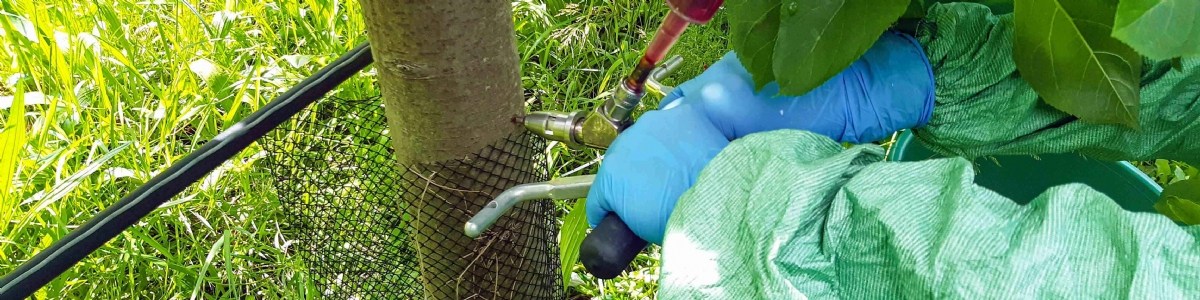 Micro-injections of a bioinsecticide into tree trunks: an effective method to control the rosy apple aphid 