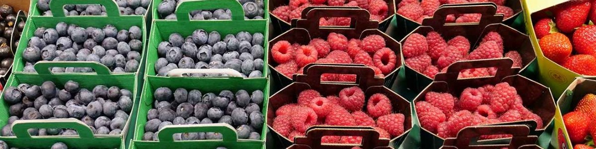La framboise et la myrtille, fruits plaisir, fruits santé 