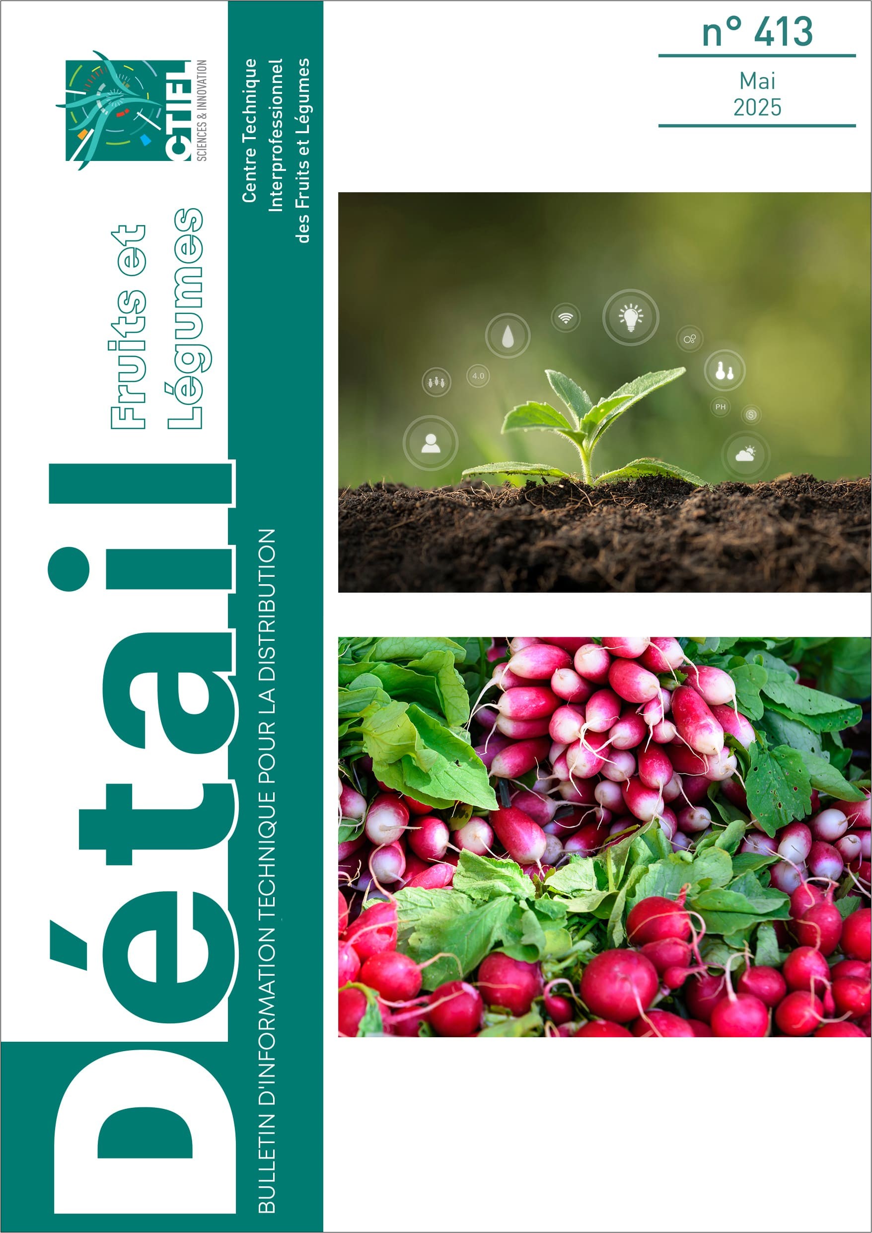 DETAIL FRUITS ET LEGUMES 413