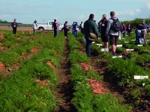 38e Conférence internationale carotte - Les dernières avancées techniques 