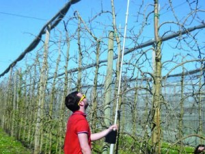 Caractériser la végétation par des indicateurs simplifiés - Prémices vers l'adaptation des doses en arboriculture 