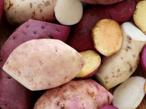 Production, économie, distribution - La patate douce, une nouvelle filière française ou un effet de mode ?