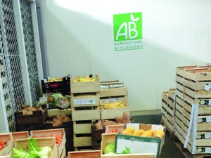 Le marché des fruits et légumes bio - Satisfaction et attentes de la distribution