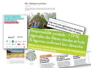 La responsabilité sociétale des entreprises. Quelles stratégies pour la filière des fruits et légumes ?