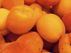 L'abricot : le fruit attendu