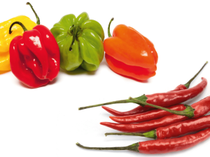 Le piment : qui s'y frotte s'y brûle