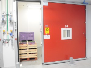 Différentes pratiques de conditionnement et de conservation