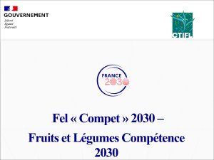 FEL'Compet : un diagnostic des besoins en compétences pour la filière des fruits et légumes