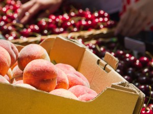 La mesure des effets prix et météo sur les achats des ménages de fruits et légumes
