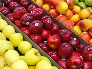 Mieux connaître les traitements et enrobages après récolte
