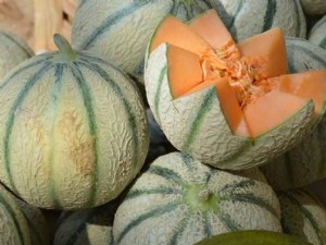 Préférences des consommateurs et qualité sensorielle du melon : les évolutions en 10 ans 