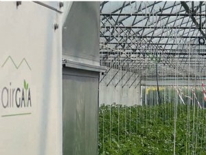Quel est le bénéfice technico-économique d'une déshumidification active en abri froid ? 