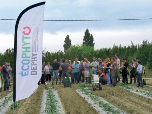 Le nouveau visage du réseau DEPHY en arboriculture et cultures légumières