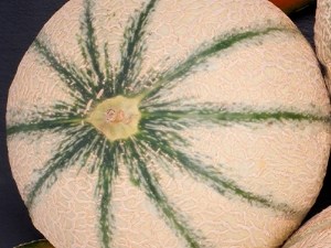 Le melon charentais : un incontournable de l'été