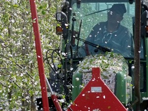 Quelles solutions pour réguler la charge en agriculture biologique ?