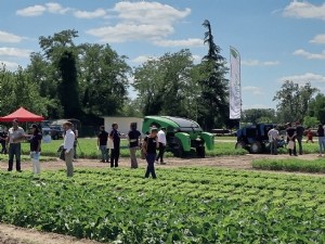 Robotisation et automatisation en fruits et légumes : quelles solutions existent aujourd'hui ?