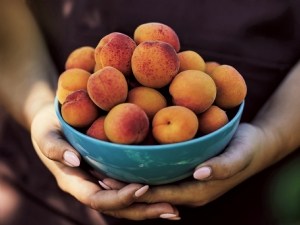 Perception de l'origine et du conditionnement par le consommateur d'abricots