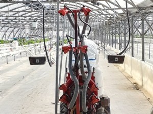 Évaluation de la qualité de la pulvérisation sur fraisier par quantification des dépôts 