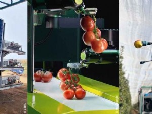 Robotisation de récolte, gestion de l'eau, acclimatation d'espèces : des opportunités venues d'Israël 