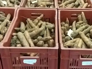 Maintien de la qualité des carottes de conservation en chambre froide 