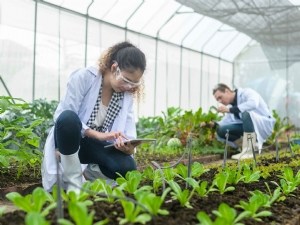 Expérimentateur BPE  - La qualité au service de la filière