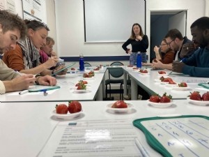 Évolution dans l'évaluation des nouvelles variétés de fraise 