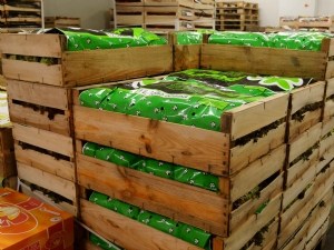 Évolution de la fraîcheur des fraises et des salades en emballage éco-conçu 