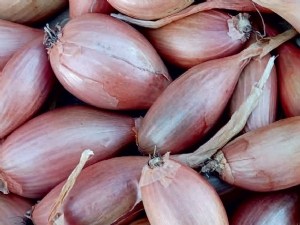 Le vinaigre au secours de l'échalote 