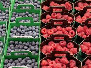 La framboise et la myrtille, fruits plaisir, fruits santé 