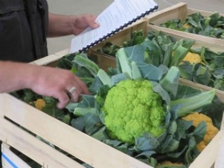 Ingénieur-formateur - Un expert des fruits et légumes toujours en veille