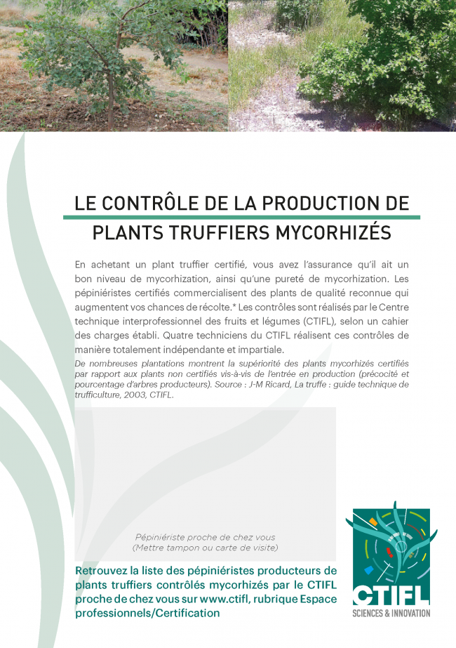 Le contrôle de la production de plants truffiers mycorhizés Le contrôle de la production de plants truffiers mycorhizés