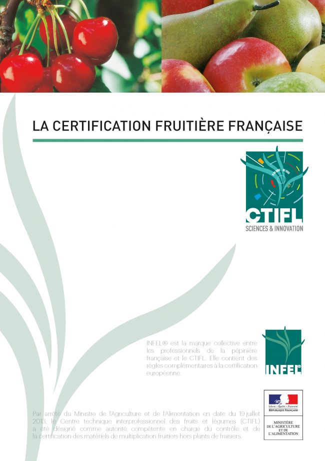 La certification fruitière française