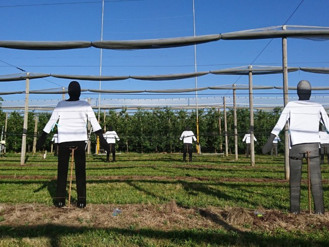 Concilier les applications de produits phytosanitaires et la protection des riverains - CAPRIV