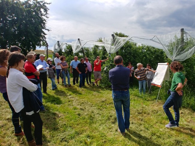 DEPHY Ferme Arboriculture