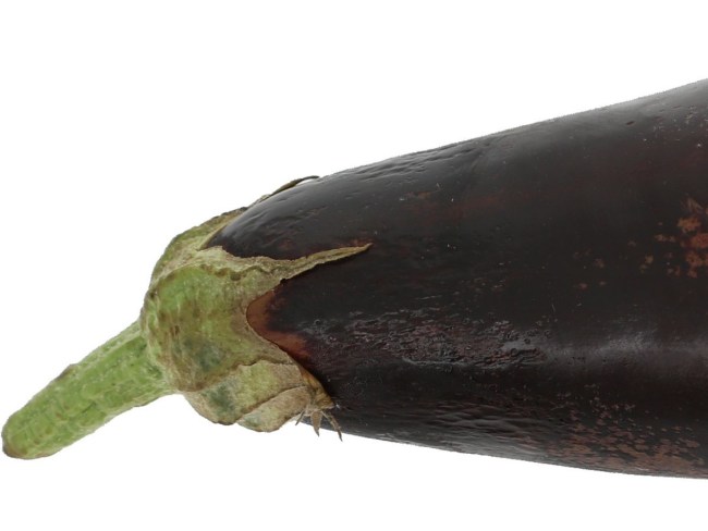 Conservation et qualité de l'aubergine