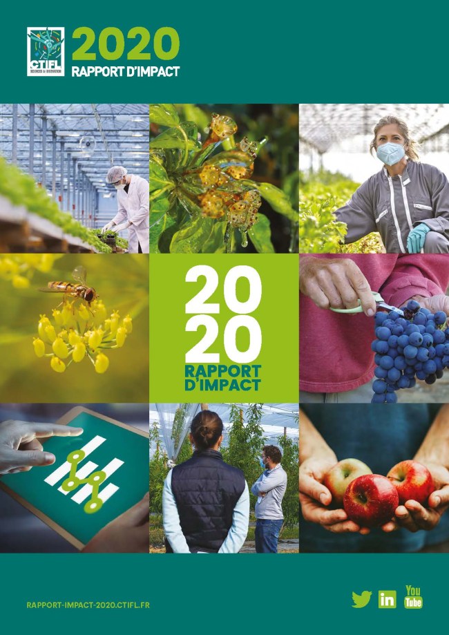 Rapport d'impact 2020