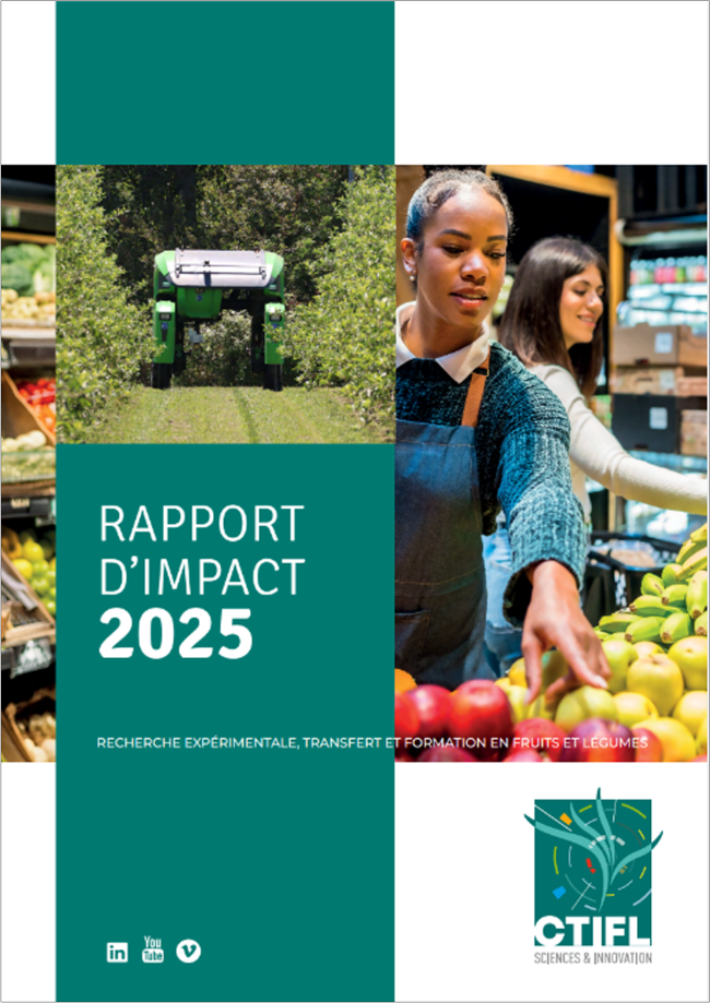 Rapport d'impact 2025