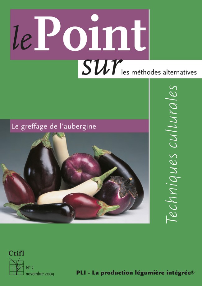 Le greffage de l'aubergine