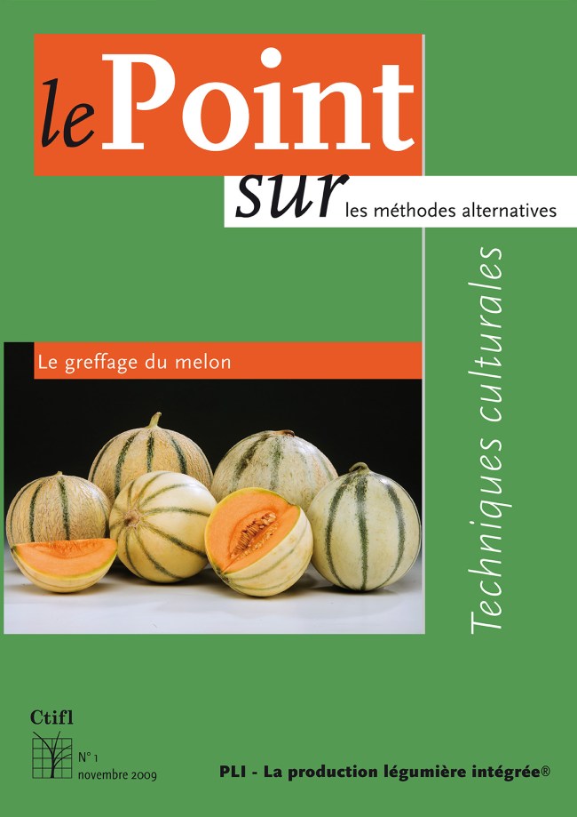 Le greffage du melon Le greffage du melon