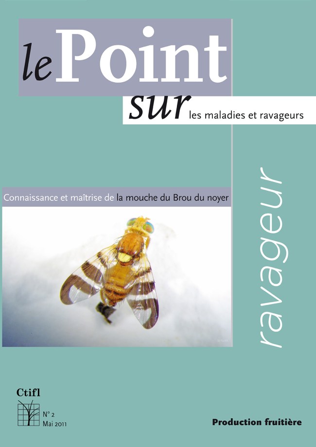 Maladie : connaissance et maîtrise de la bactériose du noyer Maladie : connaissance et maîtrise de la bactériose du noyer